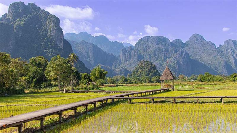Laos Land Conversion Policy: New Entry Points for Foreign Investors