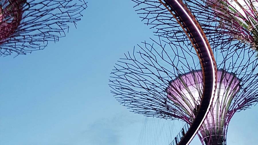 How Foreign Investors Should Structure Company Formation in Singapore